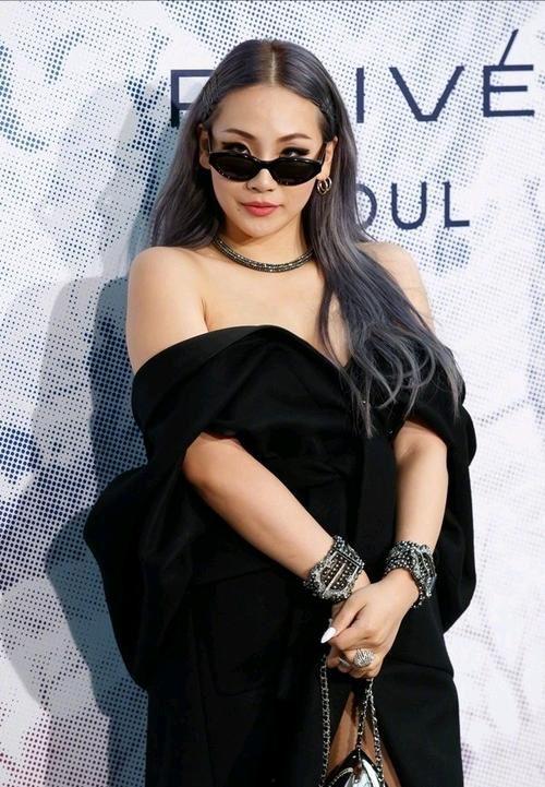 明星黑料社,明星黑料社獨(dú)家爆料，真相與謠言的較量