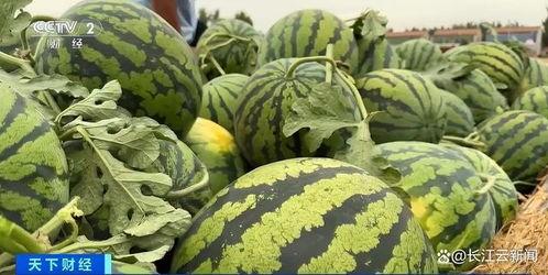 熱門大瓜每日必吃大瓜合集,揭秘娛樂圈最新動態(tài)，一網(wǎng)打盡娛樂圈風(fēng)云