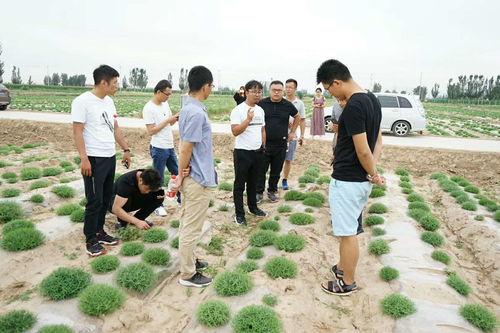瓜瓜基地,綠色生態(tài)農(nóng)業(yè)的璀璨明珠