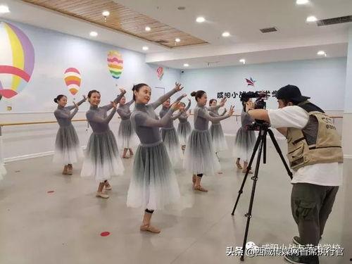 獨家爆料藝術(shù)學(xué)校極品舞蹈生,揭秘藝術(shù)學(xué)校極品舞蹈生的傳奇故事