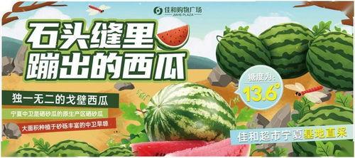 熱門大瓜每日大賽,揭秘娛樂圈最新爆料，大賽精彩瞬間回顧