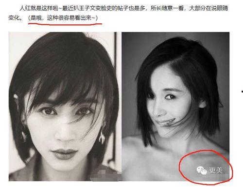 明星黑料最新,明星黑料曝光，真相背后引人深思