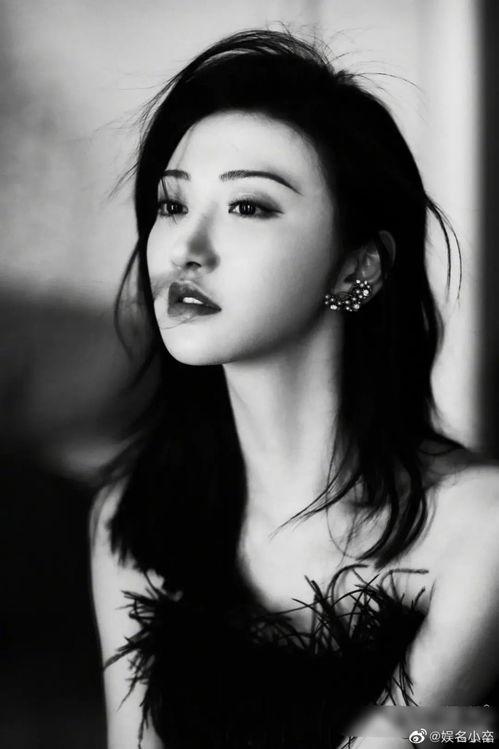 明星黑料最新,明星黑料曝光，真相背后引人深思