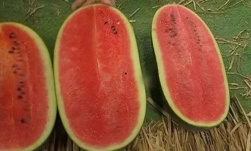 熱門(mén)大瓜每日必吃大瓜 網(wǎng)紅大瓜搜索,熱門(mén)事件盤(pán)點(diǎn)，揭秘娛樂(lè)圈幕后真相