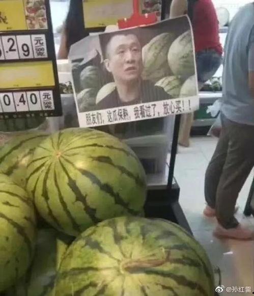 網(wǎng)紅熱瓜,揭秘網(wǎng)絡(luò)紅人的崛起與爭(zhēng)議