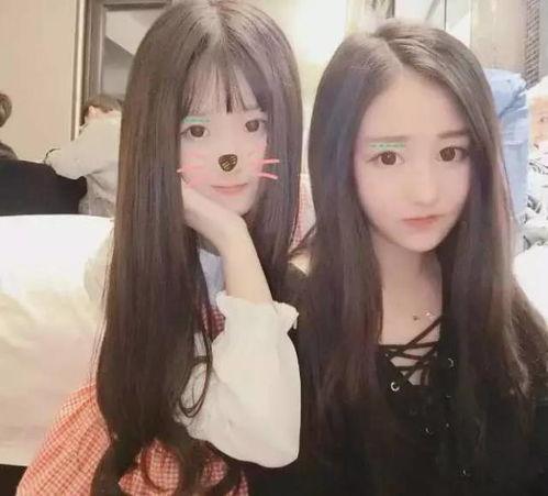 網(wǎng)紅黑料,網(wǎng)絡(luò)輿論下的真實(shí)與偏見