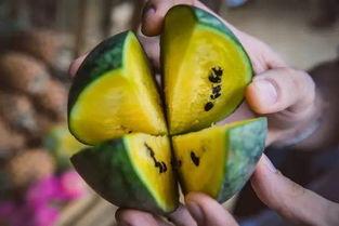 朝陽號外官網免費吃瓜,免費吃瓜盛宴，暢享夏日清涼！