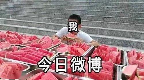 全民吃瓜,揭秘娛樂圈幕后故事