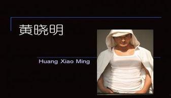 明星黑料ppt,PPT背后的真相與反思