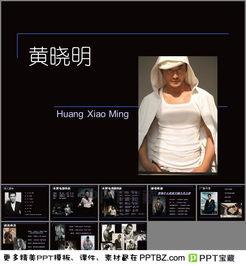 明星黑料ppt,PPT背后的真相與反思