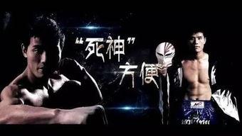 獨家爆料重生,重生背后的驚人真相