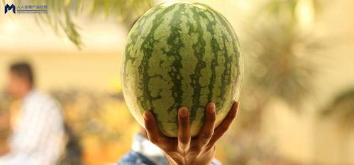 最近大瓜事件,揭秘明星隱私風波背后的真相