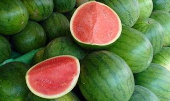 熱門大瓜每日必吃大瓜合集,揭秘娛樂圈最新動態(tài)，一網(wǎng)打盡娛樂圈風云