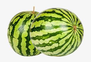 熱門大瓜每日必吃大瓜合集,揭秘娛樂圈最新動態(tài)，一網(wǎng)打盡娛樂圈風云