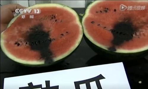 52吃瓜爆料免費吃瓜視頻,免費暢享熱門吃瓜視頻盛宴