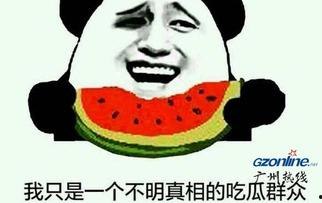 吃瓜網在線觀看視頻 又弄得滿手都是什么梗